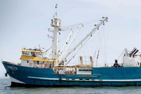 Indecopi aprueba compra de peruana Centinela por parte de Exalmar, en la que la familia Piñera Morel tiene el 9,2% de propiedad