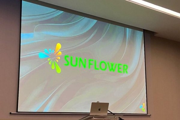 El girasol se quedó sin agua: más de 3 mil chilenos afectados por una nueva estafa piramidal