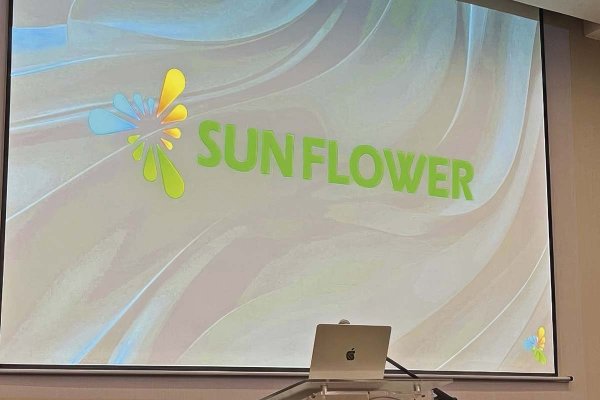 Presentan la primera querella contra quien fuera el gerente general de Sunflower Technologies