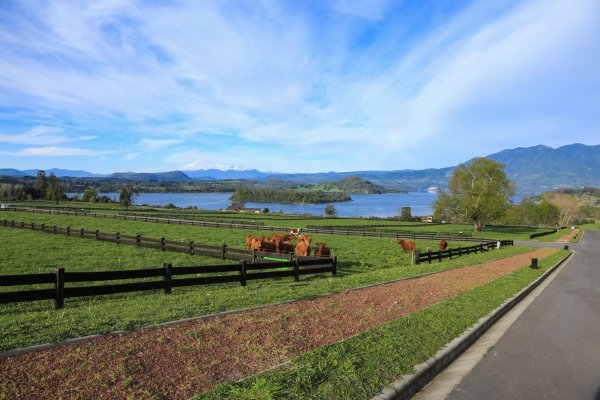El revival del principal (y más polémico) proyecto inmobiliario en Panguipulli