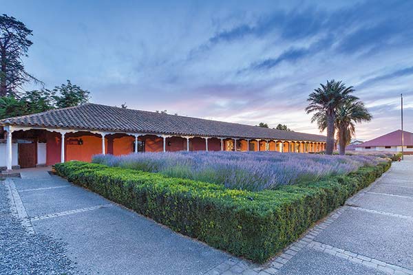Ventas de Viña Santa Rita alcanzan $ 77.701 millones durante primera mitad de 2025