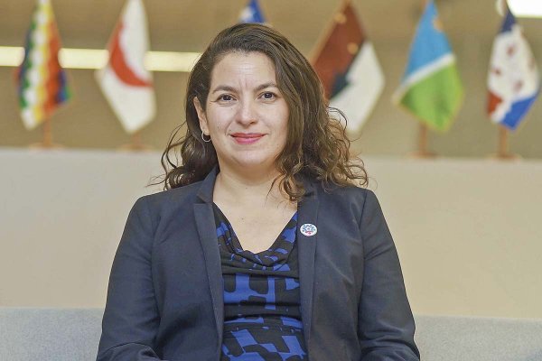 Se inicia consulta indígena al pueblo mapuche sobre un nuevo mecanismo para entrega de tierras