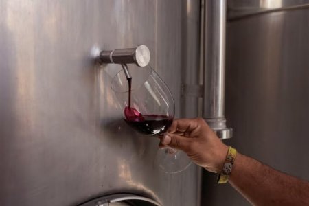 Brasil se consolida como el principal destino del vino chileno en un primer semestre de alzas leves para las exportaciones