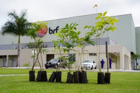Accionistas de las brasileñas BRF y Marfrig aprobaron la fusión de las empresas