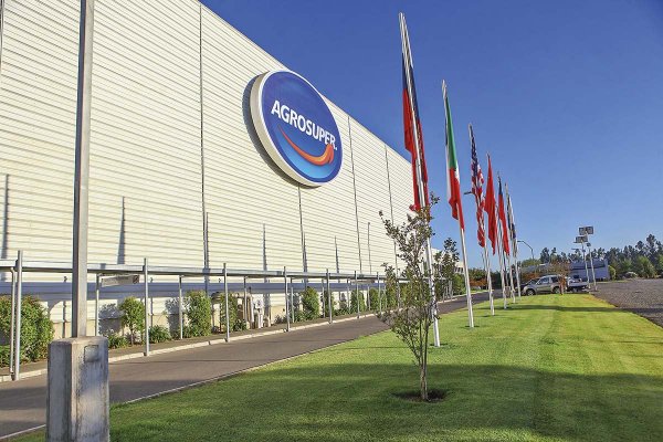 Utilidades de Agrosuper crecen 170% y empresa alerta por impacto de aranceles en mercado del salmón