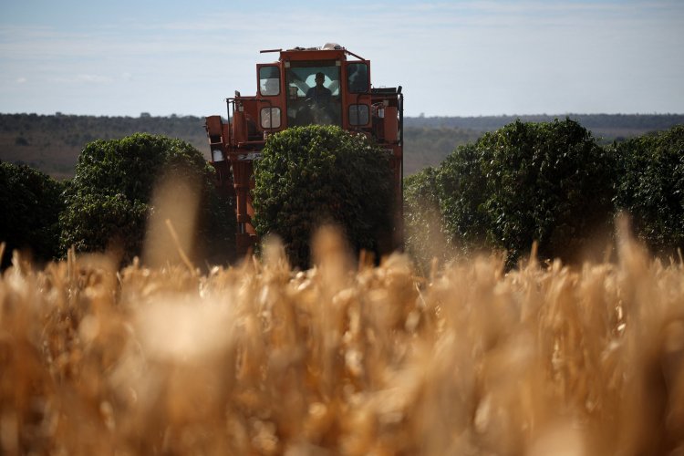 <p>Innovación y sostenibilidad: la visión de Syngenta para el futuro de la agricultura en América del Sur</p>