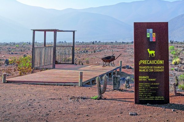 <p>Nuevo triunfo para Dominga: Organizaciones de La Higuera contrarias al proyecto pierden round en el TC</p>