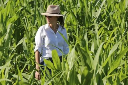 Victoria Coll, la científica salteña que dejó el Conicet para crear su propia empresa agrotech en Argentina: ya consiguió US$ 1,2 millones en inversiones