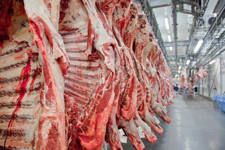 <p>Dos gigantes en disputa: Minerva y Marfrig se enfrentan por acuerdo de compra de tres frigoríficos en Uruguay</p>
