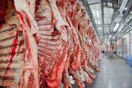 Dos gigantes en disputa: Minerva y Marfrig se enfrentan por acuerdo de compra de tres frigoríficos en Uruguay
