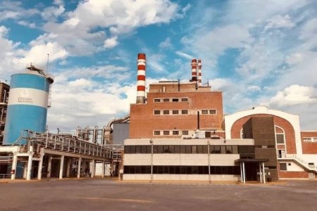 Por "profundos cambios" implementados por el Gobierno de Milei, Celulosa Argentina presenta concurso preventivo tras default