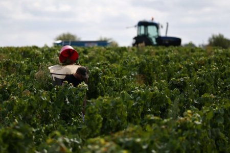 Editorial FT: Un sólido argumento a favor del acuerdo comercial entre UE y Mercosur