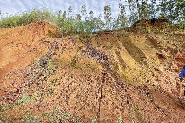 Tierras raras: Aclara se dispara 17% tras espaldarazo de EEUU en Brasil, mientras en Chile ultima su segunda adenda