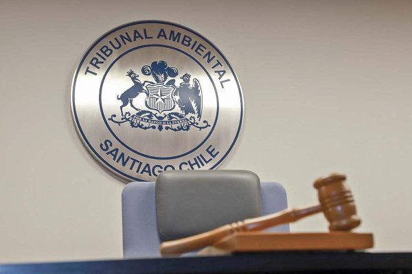 Tribunal Ambiental con problemas para sesionar por demora del Gobierno en nombramientos: hay un cargo vacante desde 2020