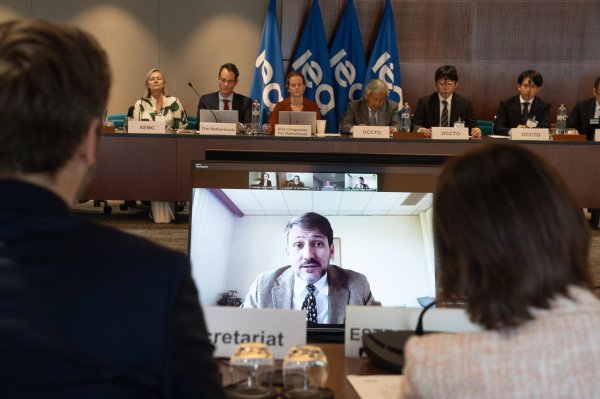 <p>El ministro de Energía, Diego Pardow, participó en la Electricity Security Task Force, una comisión liderada por la Agencia Internacional de Energía (AIE).</p>