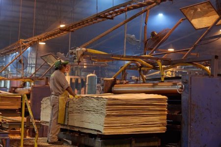 Banquero pro Milei apunta contra los dueños de Celulosa Argentina por "sospechosa" venta de acciones