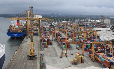 EEUU exime totalmente de aranceles a parte de las exportaciones brasileñas de celulosa y ferroníquel