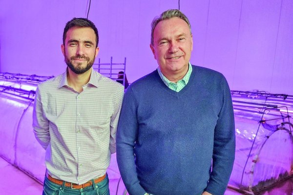 De Hijuelas a EEUU: el vivero chileno que aterriza en el Silicon Valley de la biotecnología