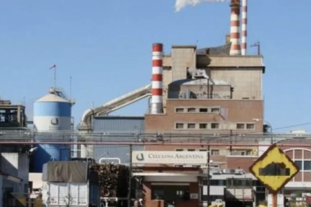 Celulosa Argentina estaría más cerca de lograr el ingreso de un inversionista para financiar sus operaciones