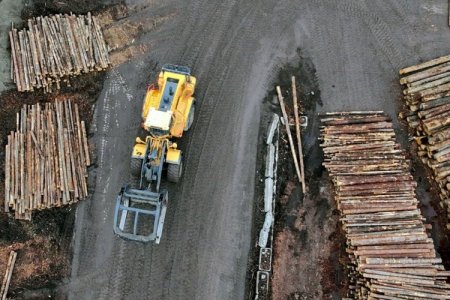Trump impone aranceles a la madera para fortalecer la industria local
