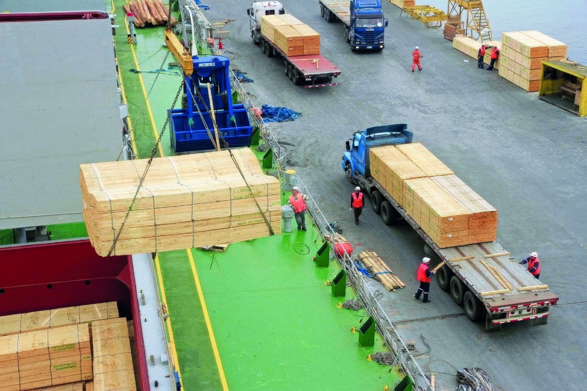 <p>Gobierno chileno reconoce que nuevo arancel a la madera de Trump se aplicará sobre casi todas los envíos a EEUU</p>