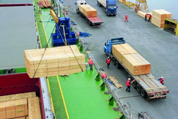 Gobierno chileno reconoce que nuevo arancel a la madera de Trump se aplicará sobre casi todas los envíos a EEUU