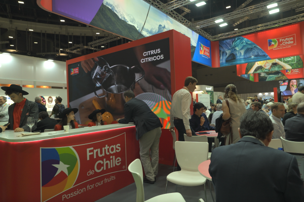 Exportadores chilenos de frutas buscan recuperar terreno en Europa mientras se profundiza efecto de aranceles de Trump