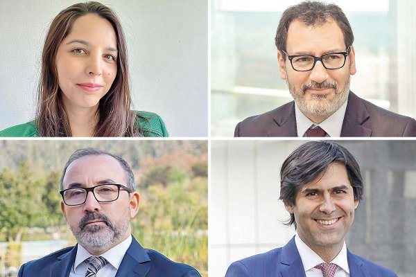 <p>Natalia Alfieri, jefa de la Unidad de Medio Ambiente del CDE. Andrés Jana, socio fundador de Jana & Gil Dispute Resolution. Ricardo Vásquez, socio de Vásquez Urra Abogados y árbitro del Ciadi. Rodrigo Gil, socio fundador de Jana & Gil Dispute Resolution.</p>