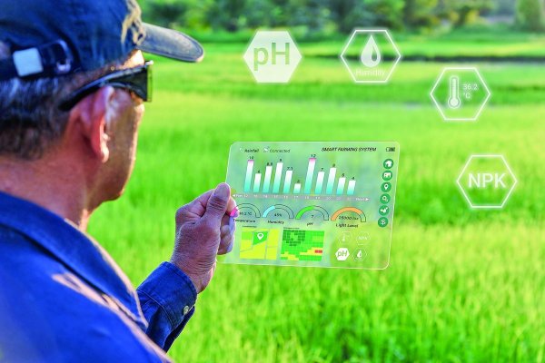 Estudio de BofA plantea que la IA puede facilitar la mitigación y adaptación al cambio climático