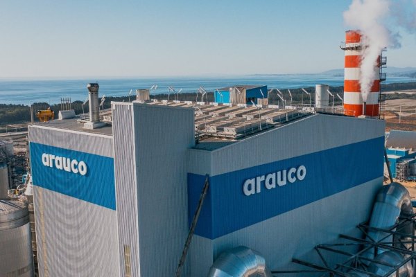 Arauco recauda más de US$ 800 millones con el mayor bono corporativo local que se haya colocado en la historia de Chile