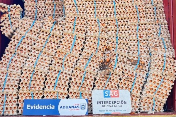 SAG y Aduanas decomisan contrabando de 400 mil huevos en la frontera con Bolivia