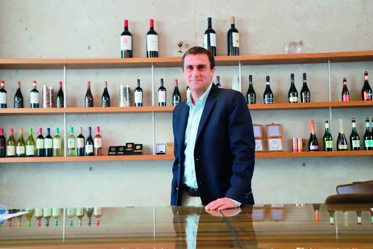 <p>Andrés Izquierdo, CEO de Undurraga Wine Group. Foto: Julio Castro</p>