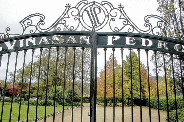 Viña San Pedro cierra septiembre con leves alzas en sus resultados por positivo desempeño en Chile y el mercado internacional