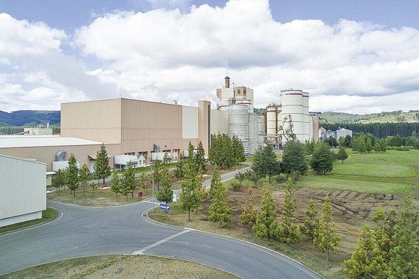 <p>Menor precio de la celulosa golpea a Arauco y pierde US$ 10 millones a septiembre</p>