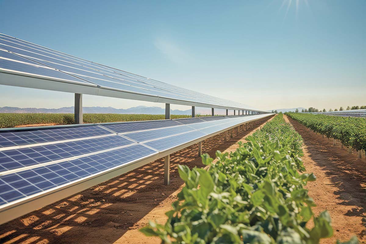 <p>Fondos aceleran ingreso a proyectos verdes</p>
