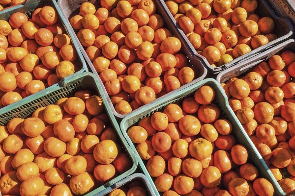 Menor dinamismo de la banca reordena el financiamiento agrícola