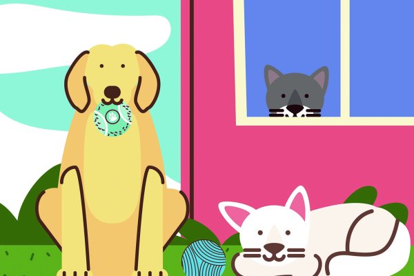Columna de J.J: Jinks: De luto (de mascotas y política)