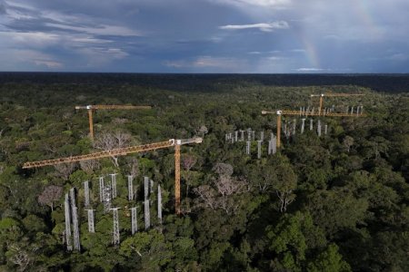 La nueva lógica verde de Brasil: hacer rentable mantener al Amazonas para salvarla del desastre