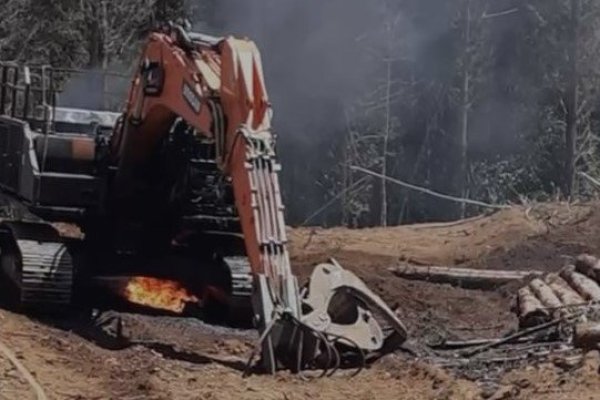 Nuevo atentado a industria forestal: Corma repudia ataque y llama a autoridades a desarticular bandas terroristas