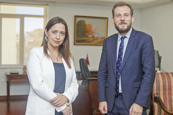 Directora (s) del SII y el jefe de la Unidad de Delitos Tributarios de la OCDE: “El crimen organizado puede estar presente en cualquier sector de la economía”