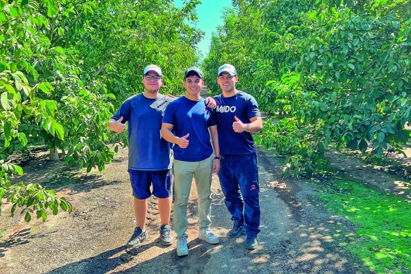 Como esta startup chilena sedujo a los principales productores de palta y a los de berries del mundo
