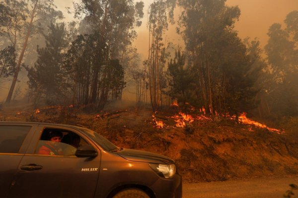Senapred activa alerta roja por rápido avance de incendio forestal en Limache y llama a vecinos a evacuar