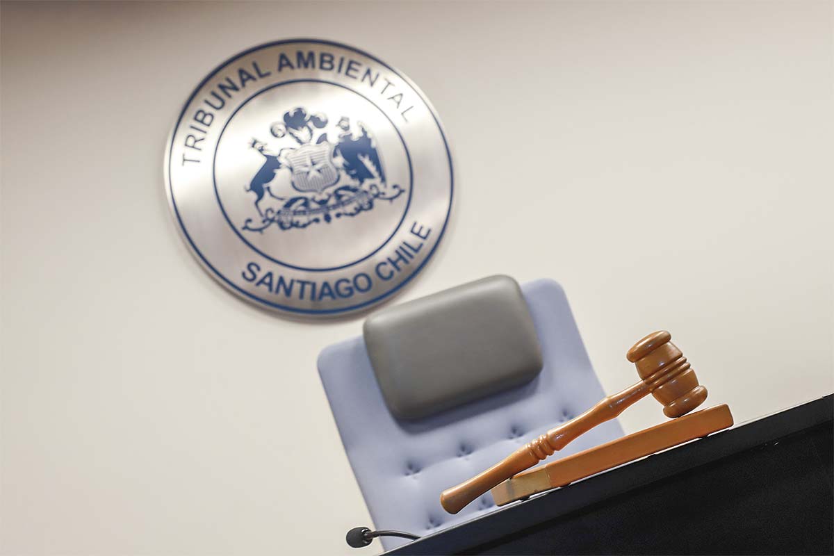 <p>Foto: Julio Castro</p>