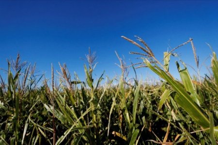 Perú dice nueva exención arancelaria estadounidense incluye a 100 productos agrícolas