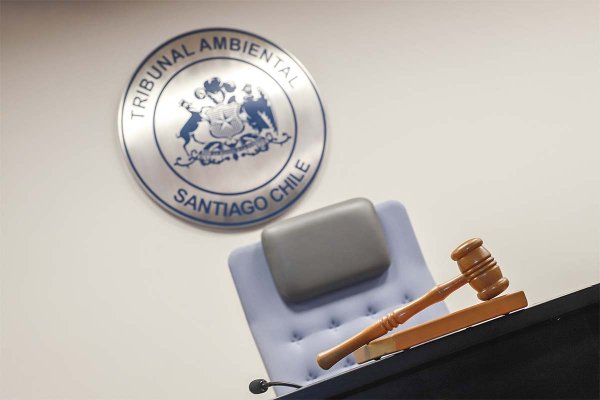 <p>Foto: Julio Castro</p>