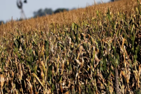 Gremio de agricultores argentinos se asocia con firma de grupo energético Abu Dabi para proyectos de biocombustibles