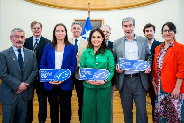 De la sobreexplotación a ejemplo de sustentabilidad: jurel chileno vuelve a obtener Sello Azul MSC de certificación internacional