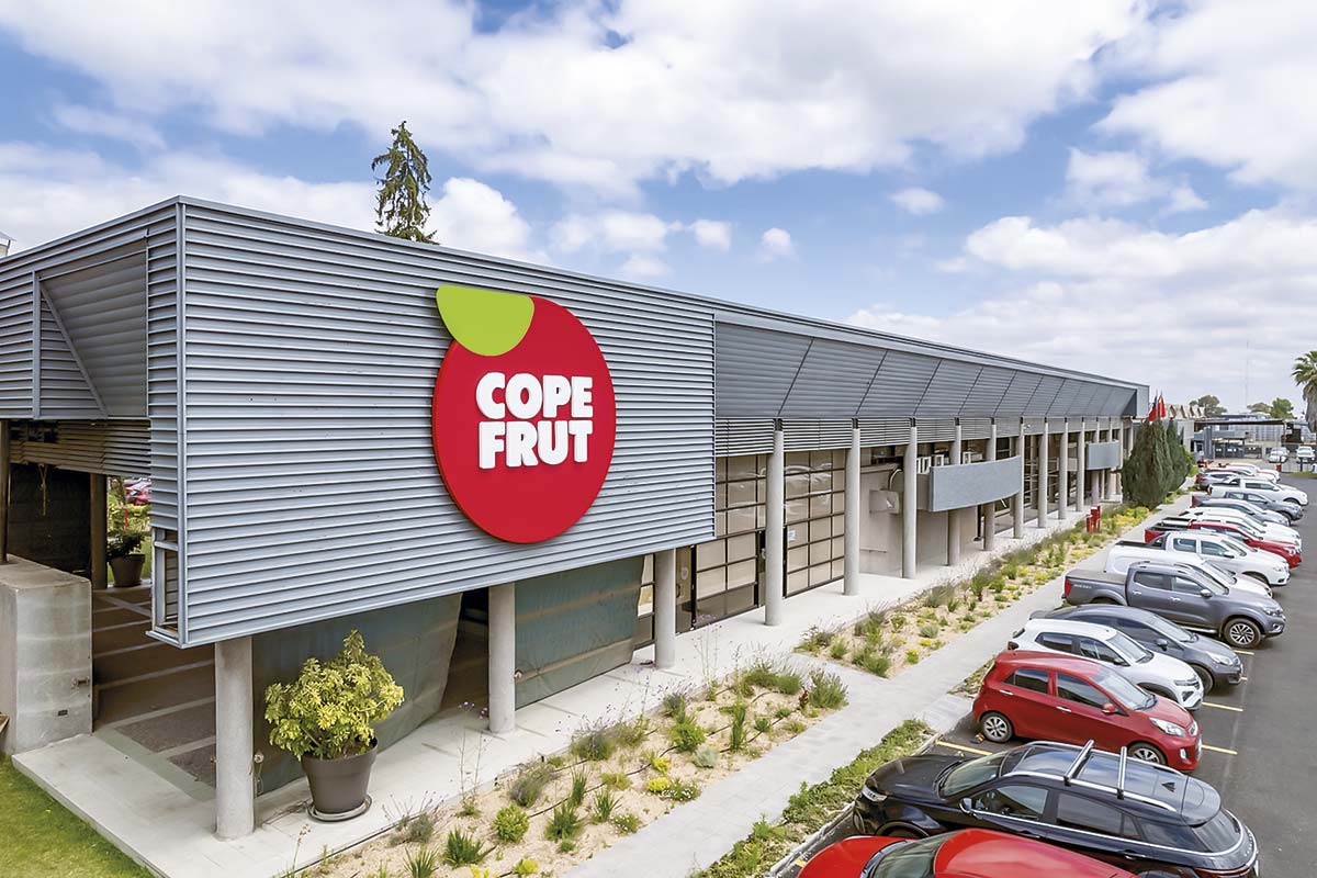 <p>Chilena Copefrut se lanza con cultivo de cerezas en China para ampliar ventana comercial en Asia</p>