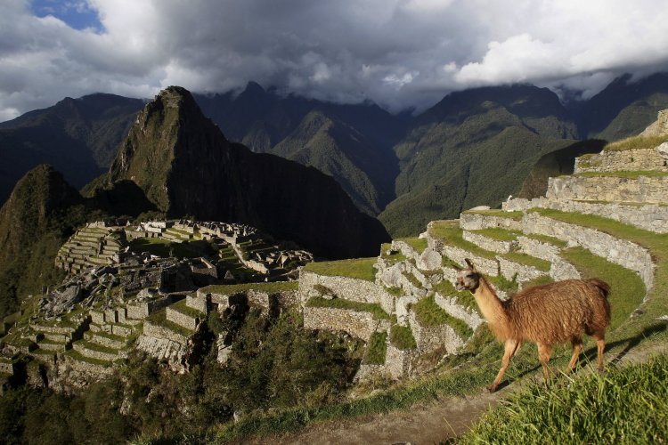 <p>Machu Picchu en crisis: podría perder su condición de patrimonio ante la falta de gestión estatal del sitio, según historiadores</p>