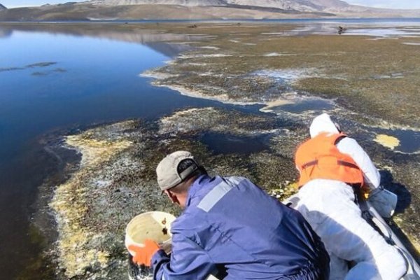 Derrame de aceite en Lago Chungará: Cores y turismo local en pie de guerra por riesgos asociados a transportistas bolivianos